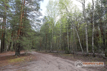 Фото Трофи-лайф 4х4 покатушка-экспедиция Мещерские Озёра 8-9.05 (94).jpg