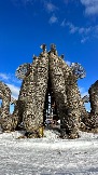 IMG_1401.jpg