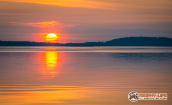_DSC7005.jpg