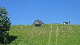 20260606_133004.jpg
