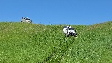 20260606_132601.jpg