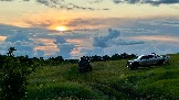 IMG_1411.jpg