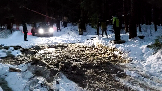 Трофи-лайф фото 4х4 покатушка Плещеевская Кругосветка 29.12.2024 -  (22).png