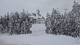 20251122_101108.jpg
