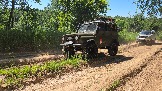 20260606_111432.jpg
