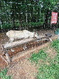 IMG_20260613_135139_568.jpg