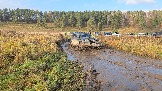 20251025_142947.jpg