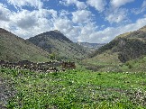 IMG_8582.JPEG