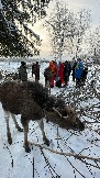 IMG_3443.JPG