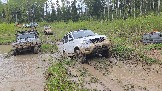 20260510_142535.jpg