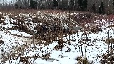 Трофи-лайф фото 4х4 покатушка Рогачевские Сокровища  08.02.2025 - (8).jpg