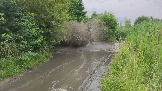 2026-07-11 11-15-50_93453968.JPG