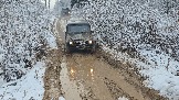 20251115_122937.jpg