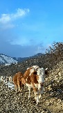IMG_8767.JPG