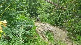 20240803_134832.jpg