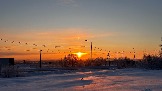 IMG_3592.JPG