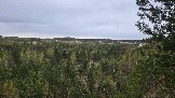 20250503_174829.jpg