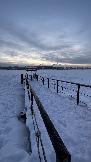 IMG_3479.JPG