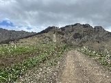 IMG_8591.JPEG