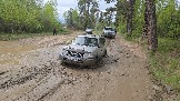20260510_112036.jpg