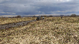 Трофи-лайф фото 4х4 покатушка Ступинский Крюк 18.04.2026 - 39.jpg