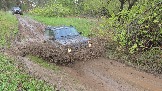 20250502_155147.jpg