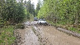 20260510_120301.jpg