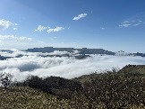 IMG_8571.JPEG