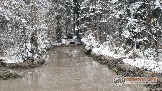 Фото Трофи-лайф 4х4 покатушка Новоистринские Просеки 28.10.23 - 452.jpg
