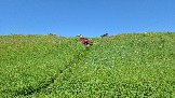 20260606_132313.jpg