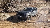 20250308_114833.jpg