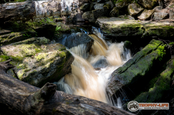 _DSC6739.jpg