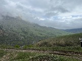 IMG_8469.JPEG