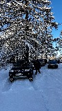 IMG_3694.JPG