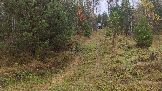 Трофи-лайф фото 4х4 покатушка Каширский Зигзаг 05.10.2024 -  (49).png
