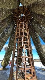 IMG_1406.jpg