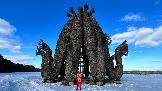 IMG_1427.jpg