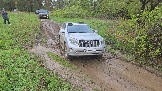 20250502_155131.jpg