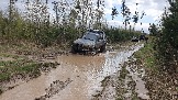 20250426_120241.jpg