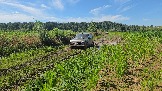 20260801_135336.jpg