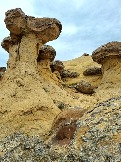 Трофи-лайф Экспедиция Казахстан Май 2024 (151).jpg