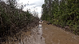 Трофи-лайф фото 4х4 покатушка Каширский зигзаг 06.04.2024 -  (136).png