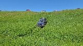 20260606_132250.jpg