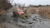 20250315_111823.jpg