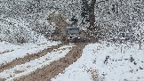 20251115_123758.jpg