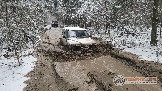 Фото Трофи-лайф 4х4 покатушка Новоистринские Просеки 28.10.23 - 354.jpg