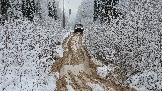 20251115_123120.jpg