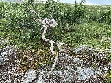 IMG_9359.jpeg