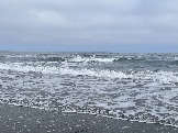 IMG_9435.jpeg