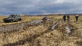 Трофи-лайф фото 4х4 покатушка Ступинский Крюк 18.04.2026 - 46.jpg